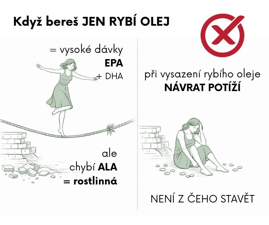 Když bereš jen rybí olej