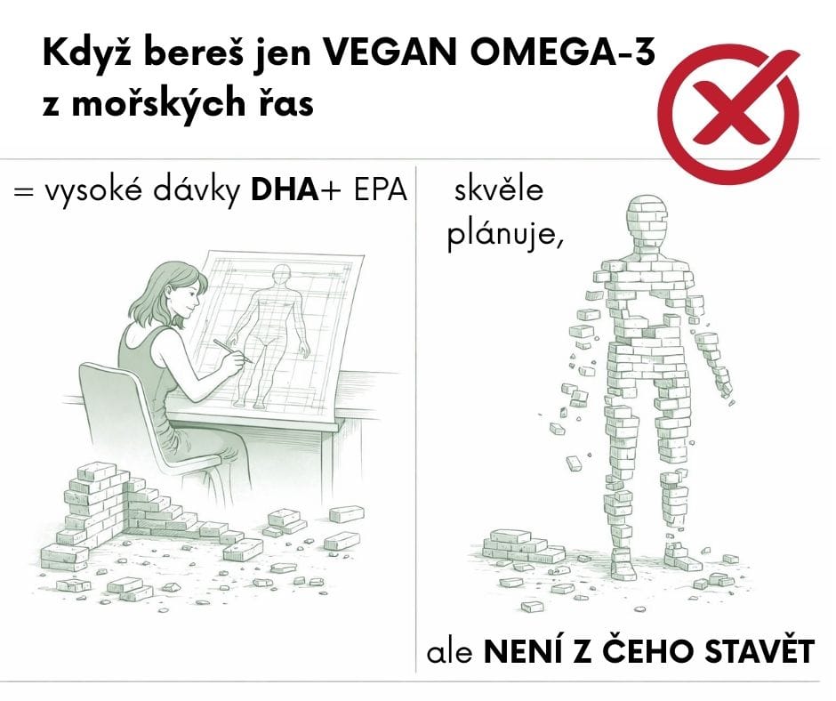 Když bereš jen vegan omega-3 z mořských řas